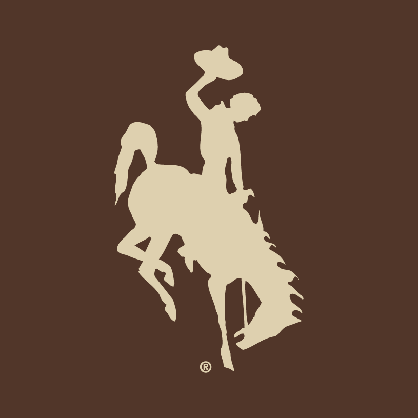 Wyoming Cowboys 2006-2012 Alternate Logo v2 diy iron on heat transfer